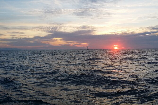 Split: Small-Group Half Day Sailing Trip - Quick hits on this Split small-group sailing trip