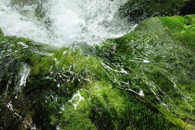 Split to Zagreb or airport Zagreb via Plitvice lakes for singles or couples - Who this is best for (and who should look elsewhere)