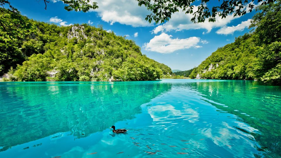 Split: Transfer to Zagreb with Plitvice Lakes Entry Tickets - Inside Plitvice: 16 lakes, waterfalls, and the boat-plus-train route