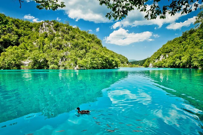 Transfer from Split to Zagreb with Entry Ticket to Plitvice Lakes - Price and value: what you’re really paying for