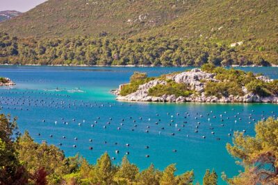Transfer Split to Dubrovnik with Sightseeing in Ston Town - Pickup and ride comfort: private, air-conditioned, and WiFi onboard