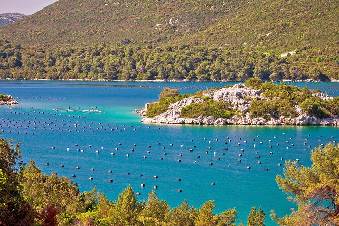 Transfer Split to Dubrovnik with Sightseeing in Ston Town - Pickup and ride comfort: private, air-conditioned, and WiFi onboard