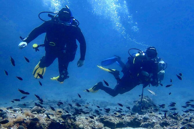 Try Scuba Diving in Split - Key highlights for your first scuba session in Split