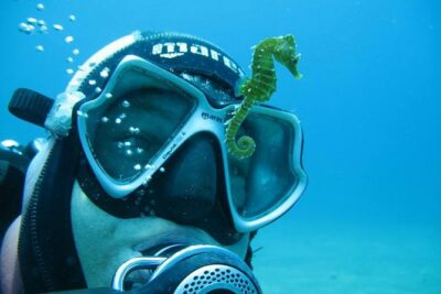 Try Scuba Diving in Split - Getting ready: rules, gear fitting, and the “calm coach” factor