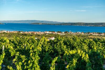 Vineyard Experience: Wine Tasting near Split - The Kastel Novi Stop: Coast Views and Snack-and-Sip Pairing