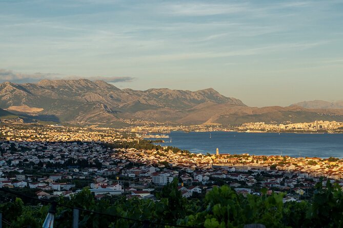 Vineyard Experience: Wine Tasting near Split - What’s Included (and What That Means for Your Budget)