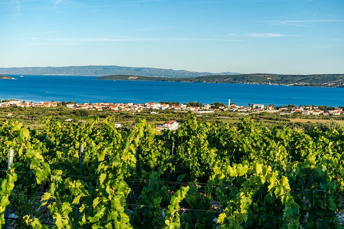 Vineyard Experience: Wine Tasting near Split - The Kastel Novi Stop: Coast Views and Snack-and-Sip Pairing
