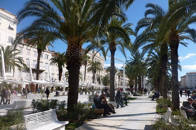 Walking tour of Split old town and craft beer tasting - Vestibulum acoustics and klapa singing (UNESCO-style sound)